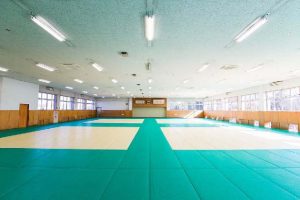 Judo Hall (Martial Arts Gymnasium)01