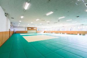 Judo Hall (Martial Arts Gymnasium)02